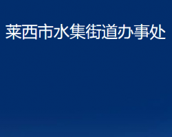 莱西市水集街道办事处政务服务网