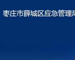 枣庄市薛城区应急管理局