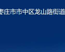 枣庄市市中区龙山路街道办事处