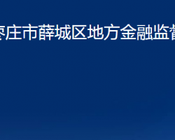 枣庄市薛城区地方金融监督