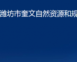 潍坊市奎文自然资源和规划分局