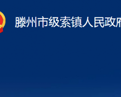 滕州市级索镇人民政府政务服务网