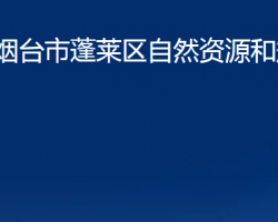 烟台市蓬莱区自然资源和规划局