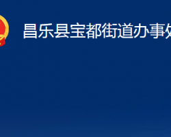 昌乐县宝都街道办事处政务服务网入口