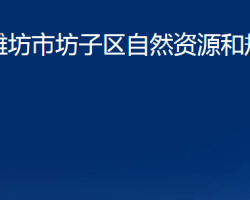 潍坊市坊子区自然资源和规划分局