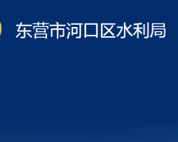 东营市河口区水利局