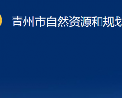 青州市自然资源和规划局