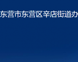 东营市东营区辛店街道办事处