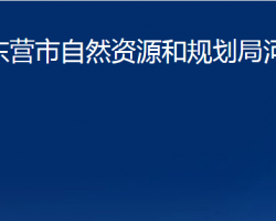 东营市自然资源和规划局河