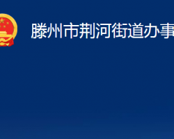 滕州市荆河街道办事处政务服务网