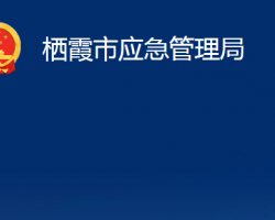 栖霞市应急管理局