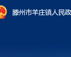 滕州市羊庄镇人民政府政务服务网