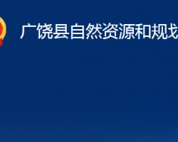 广饶县自然资源和规划局