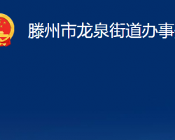 滕州市龙泉街道办事处政务服务网