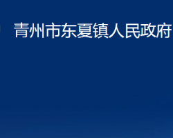 青州市东夏镇人民政府