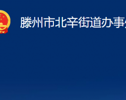 滕州市北辛街道办事处