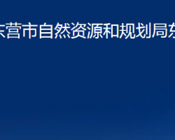 东营市自然资源和规划局东