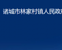 诸城市林家村镇人民政府