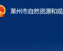 莱州市自然资源和规划局