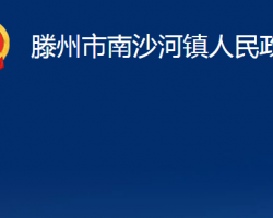 滕州市南沙河镇人民政府政务服务网