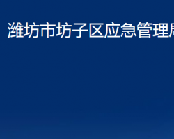 潍坊市坊子区应急管理局