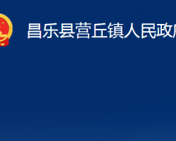 昌乐县营丘镇人民政府政务服务网入口