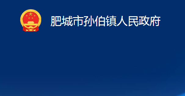 肥城市孙伯镇人民政府