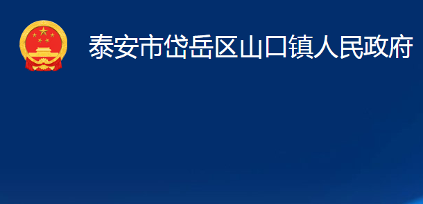 泰安市岱岳区山口镇人民政府