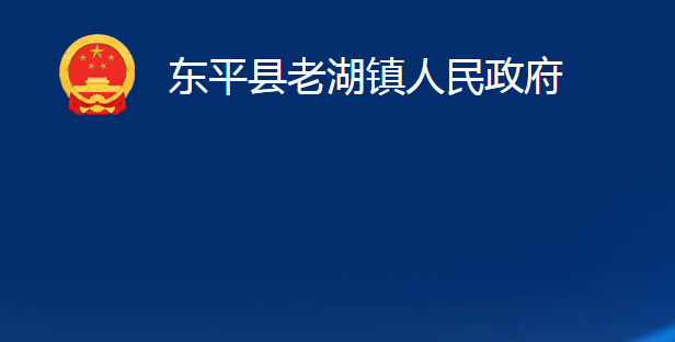 东平县老湖镇人民政府