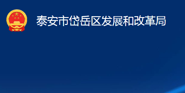 泰安市岱岳区发展和改革局