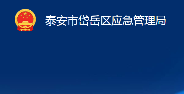 泰安市岱岳区应急管理局