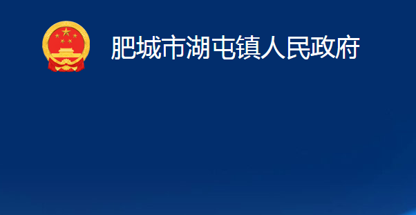 肥城市湖屯镇人民政府