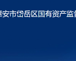 泰安市岱岳区国有资产监督