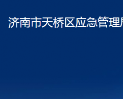 济南市天桥区应急管理局