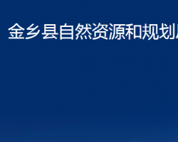 金乡县自然资源和规划局