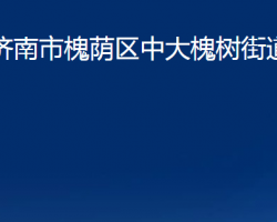 济南市槐荫区中大槐树街道办事处