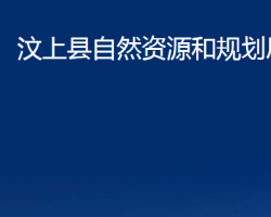 汶上县自然资源和规划局