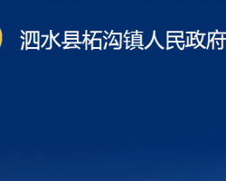 泗水县柘沟镇人民政府政务服务网入口