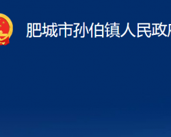 肥城市孙伯镇人民政府