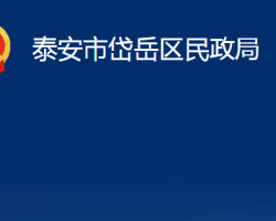 泰安市岱岳区民政局