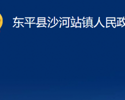 东平县沙河站镇人民政府政务服务网