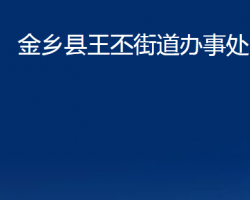 金乡县王丕街道办事处