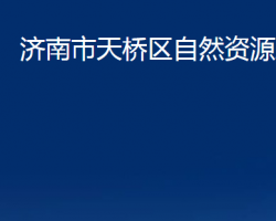 济南市天桥区自然资源局