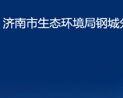 济南市生态环境局钢城分局