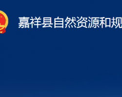 嘉祥县自然资源和规划局