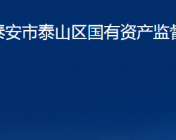 泰安市泰山区国有资产监督