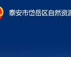 泰安市岱岳区自然资源局