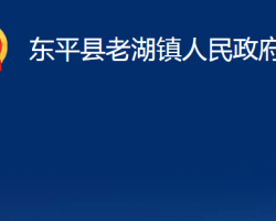 东平县老湖镇人民政府政务服务网