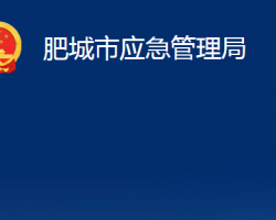 肥城市应急管理局