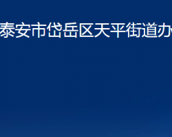 泰安市岱岳区天平街道办事处